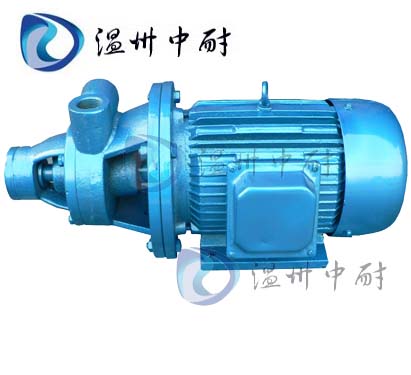 1W系列單級漩渦泵